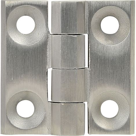 Schaltschrankscharnier 40 x 40 x 5 mm, Edelstahl (1/2)