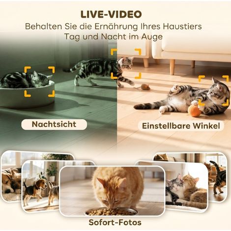Comedero automático para gatos con cámara 4 L OKMYHOME (1/2)