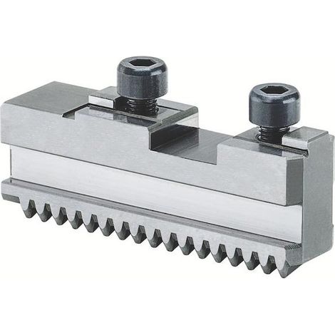 Mâchoire de base Röhm GB, taille 140, jeu de 3 mâchoires, avec vis de fixation - 140636 (1/4)