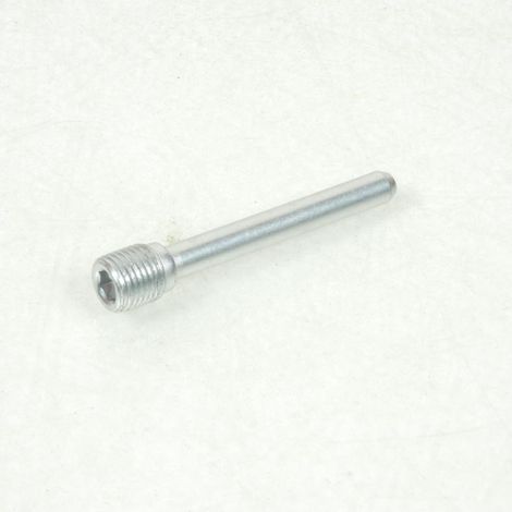 Bremsbelagstift Bremssattel vorne für Motorrad Triumph 955 Sprint (1/5)