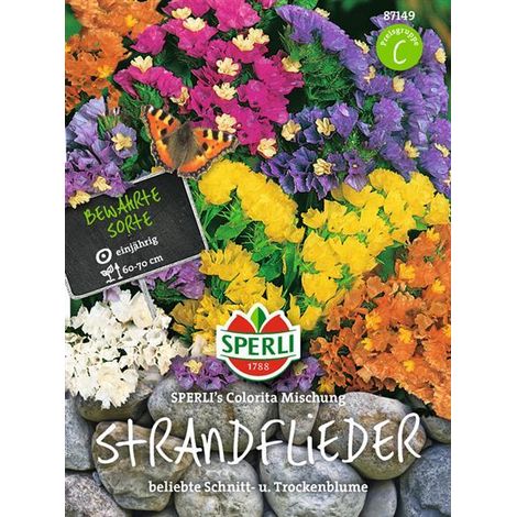 Sperli Strandflieder Colorita Mischung Samen - 1 Portion (1/4)