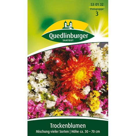 Quedlinburger Saatgut – Fleurs séchées, mélange de nombreuses variétés – Graines de fleurs, hauteur 30-70 cm, environ 1 m² (1/2)