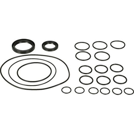Kit ricambio pompe Bertolini BERTOLINI 359880973