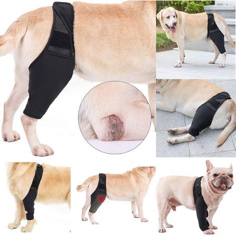 BEBUSINGOTO Kniebandage für Hunde, Knieschoner für Haustiere, Beinwickel, vorne und hinten, Ellenbogenbandage für Hunde, Schutz, Genesung, Arthritis oder Osteoarthritis, Ärmel, Schwarz (L) (1/5)