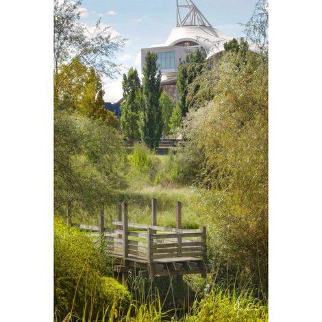 Tableau sur toile Jardins Jean-Marie Pelt Metz 45x65 cm - Impression sur Toile Murale Décorative - Image imprimée en HD sur Toile - Toile sur Châssis en Bois FSC - Fabriqué en France (1/5)