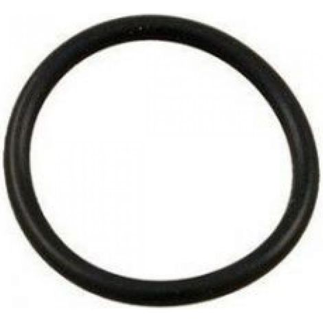 Hayward – Joint torique de cuve pour filtre à cartouche de piscine – Caoutchouc noir – Compatible Star Clear et Star Clear II