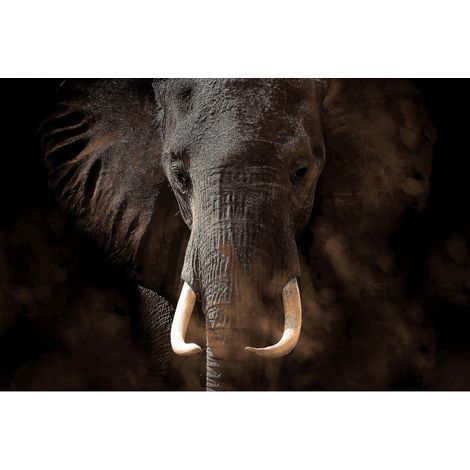 Poster Thème Elephant - 360 x 270 cm (1/3)