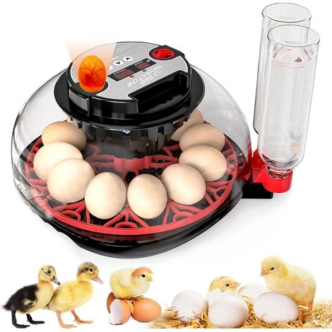 Incubateur pour éclosion d'œufs - Capacité de 12 œufs - Tourneur Automatique - Contrôle de la température et de l'humidité - Visualisation à 360° pour œufs de Poulet, de Canard et de caille (1/5)