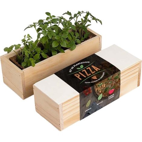 Kit d'Auto-culture Pizza - Origan, basilic et tomate cerise (1/3)