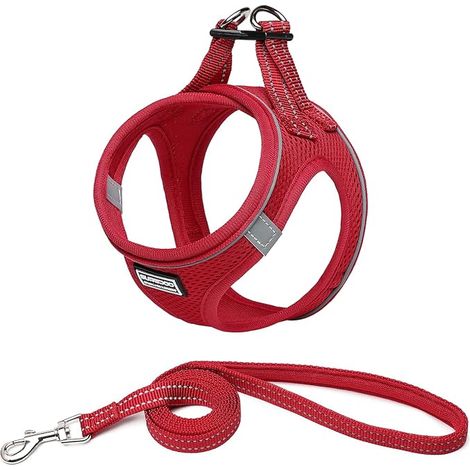 Breathable Reflective Dog Harness with Leash Step-in Harness for Dogs Cats Padded Comfort Soft Mesh Vest for Small Dogs for Walking Running Training S Red (1/5)