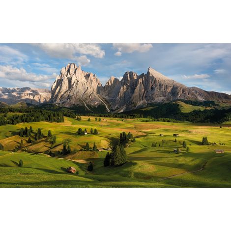 Papier peint panoramique naturel Alpes (1/4)