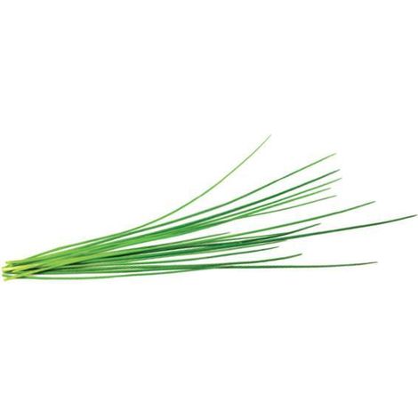 EMSA CLICK & GROW CIBOULETTE (M5261200) CLICK AND GROW (1/2)