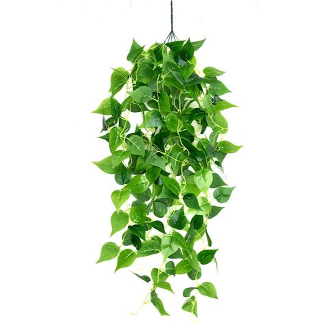 Plante Artificielle - Lierre Simulé Scindapsus Cirrus - Décoration Murale Intérieure Extérieure - Longueur 105 cm - 1 Bouquet (1/5)