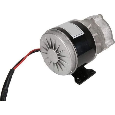 Moteur électrique à réduction de vitesse 12V 250W avec réducteur de moteurs à courant continu brossé à pignon à 9 dents pour scooter électrique (1/5)