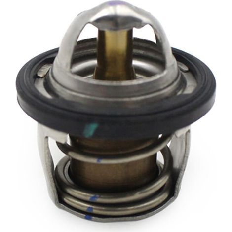 Thermostat de Refroidissement pour Moto GTS300 GTV300 GTS250, Accessoires de Moto, Argent