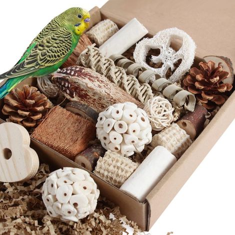 Jouet d’exploration naturel pour oiseaux, boîte à fourrager pour perruches, calopsittes, conures (Taille moyenne) (1/5)