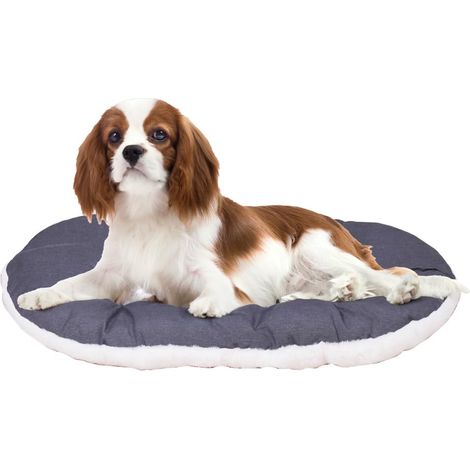 Panier Chien, Coussin pour Chats, Lavable, Tapis Chien Chat pour Niches et Voitures, en Coton avec Rembourrage Doux 65 x 42 CM, Beige (1/5)