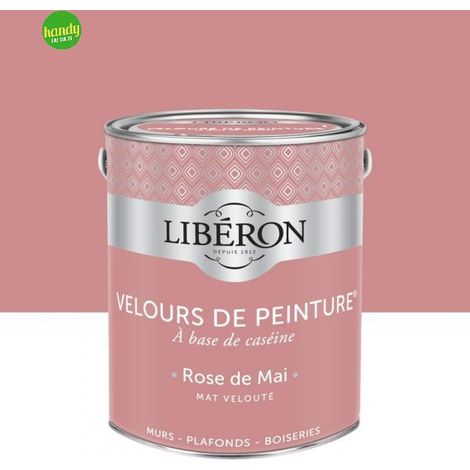 Pittura da interni Liberon 2,5L Rosa di Maggio (1/3)