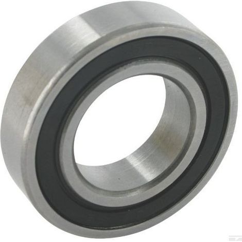 6005-2RS - Roulement à Billes
