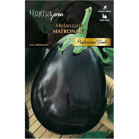 Semi melanzana metrona f1