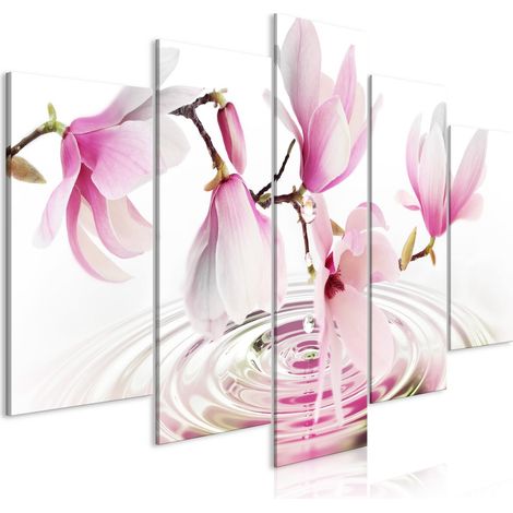 Immagine - Magnolie vicino all'acqua (5 pezzi) rosa largo (1/4)
