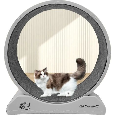 Rueda de ejercicio para gatos y perros pequeños, para uso en interiores, diseño compacto, color gris. (1/5)