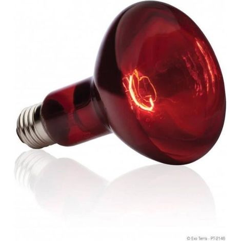 Lampe Exo Terra Basking Spot Infrarot 75 W