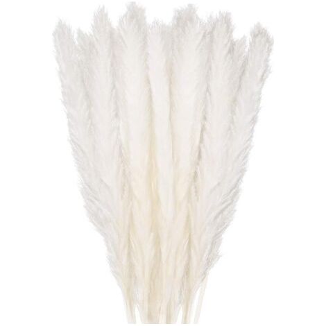 SABIR Bouquet de fleurs séchées 30 pcs herbe de pampa 58 cm – Couleur blanche – Pour décoration intérieure et mariages – Arrangements floraux