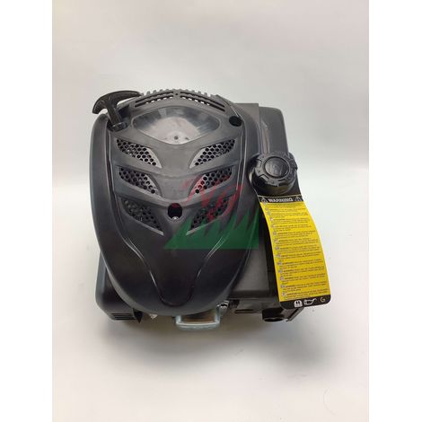 Motore completo GGP WBE140 LC1P65FE 140cc albero verticale 22x60mm avv. strappo