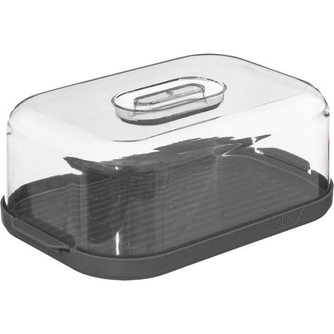 Boîte de rangement pour fromage – 28,7 x 19 x 10,6 cm – Couvercle à clips – Plateau rainuré – Conservation et service (1/5)