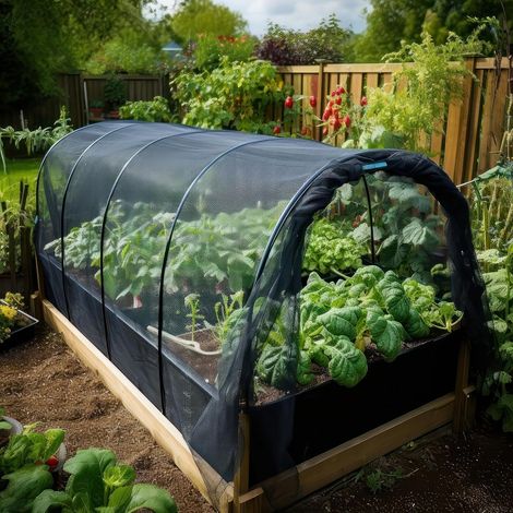 Filet de protection de jardin DIY noir 3x6m contre oiseaux et insectes, écran polyvalent pour potager terrasse et tonnelle végétale