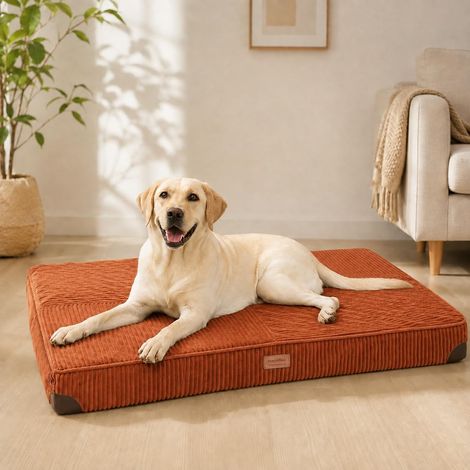 Panier pour Chien, Panier Orthopédique en Peluche Velours Côtelé avec Housse Lavable, Lit Imperméable, Mousse Alvéolée de Support, Tapis avec Fond Anti-Dérapant, Orange (1/5)