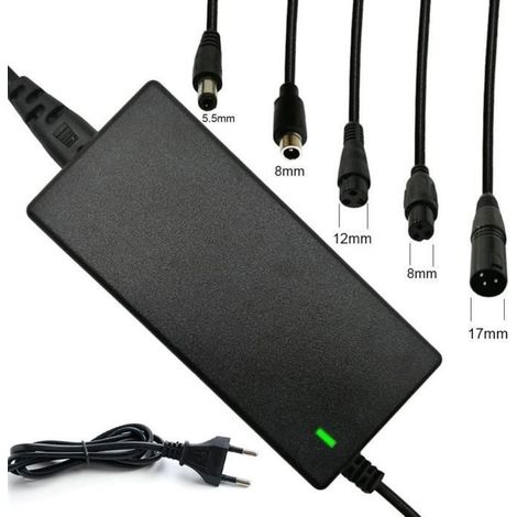 Chargeur Pour Trottinette Électrique - 42V 2A - 5 Connecteurs - Adaptateur Alimentation Pour Scooter Électrique (1/4)