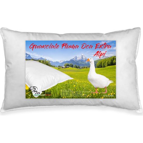 OREILLER en DUVET d'OIE TEX TIROL © ALPES fabriqué en Italie (1/5)