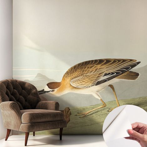 Papier peint autocollant Mural avec colle pour salon et chambre Décoration murale rapide Oiseau des montagnes 250x250 cm (1/5)