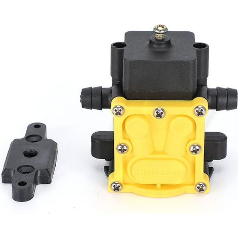 Pompe à diaphragme 12V pour pulvérisateur agricole et jardin, accessoire de pompe à eau électrique durable avec raccords doubles Type D. (1/5)