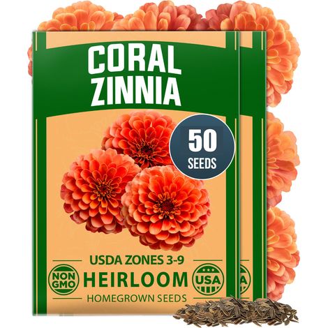 50 graines de calendula, graines de fleurs décoratives pour la maison, adaptées à la plantation au jardin (1/5)