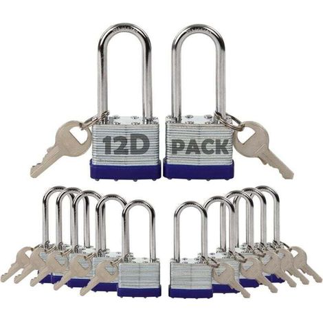 Lot de 12 Cadenas à Clé Identique Acier Laminé Antirouille 40mm pour Casier Clôture Portail (1/4)