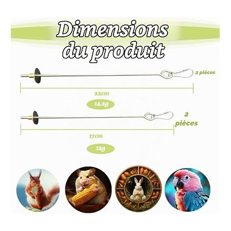 Brochette Nourriture Perroquet Acier Inoxydable Mangeoire Perroquet Jouet Perruche Porte-Fruits Viande Alimentaire Bâton Titulaire Cages Oiseau 22cm 17cm (1/4)