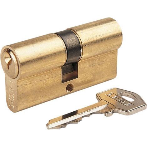 Tesa Assa Abloy, 50303040L, Standardzylinder, TE5, langer Nocken, Schlüssel - Schlüssel, Messing, 30 x 40 mm