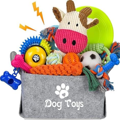 Ce coffret de 21 jouets pour chiots contient de nombreux jouets à mâcher nutritifs et une boîte de rangement. Adapté aux chiots de 8 à 12 semaines, il allie jeu et éducation.