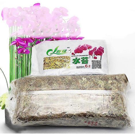 Mousse de sphaigne 12L - Engrais organique pour orchidées Phalaenopsis (1/4)