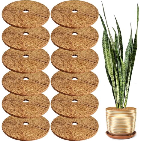 12 Pcs 11,8 Pouces Fibres De Noix De Coco Paillis Anneau Protecteur D'arbre Tapis, Naturel Coir Arbre Protection Mauvaises Herbes Tapis (1/5)