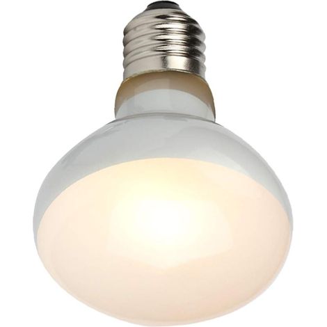 Lampe chauffante UVB pour reptiles (1 unité) : chaleur intense similaire à celle du soleil pour les reptiles et les amphibiens (1/5)