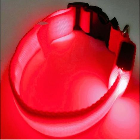 Bande LED pour chien, uppladdningsbart, lysande, justerbart, reflekterande (1/5)