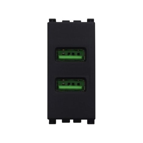 ETTROIT Prise USB Chargeur USB 5V 2.1A 2 Ports USB-A Couleur Noire Compatible Avec Vimar Arke