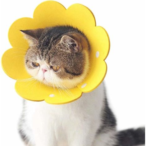Collerette pour Chat Chien Collier De Cône Anti-Morsure Protection Cône Collerettes Chien Chat de Chiot Collier Blessure Protecteur de Cône De Cou Réglable EVA M (Jaune, 1PCS) (1/4)