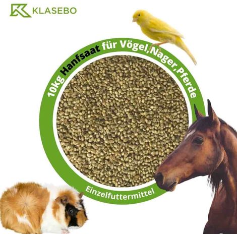 Hanfsaat 10kg für Vögel, Nager und Pferde (1/3)
