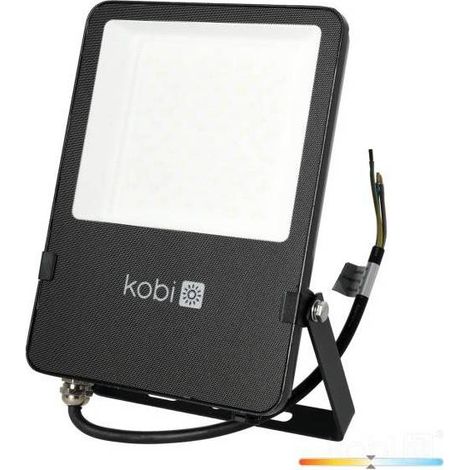 Projecteur LED 50W 4000K blanc naturel extérieur IP65