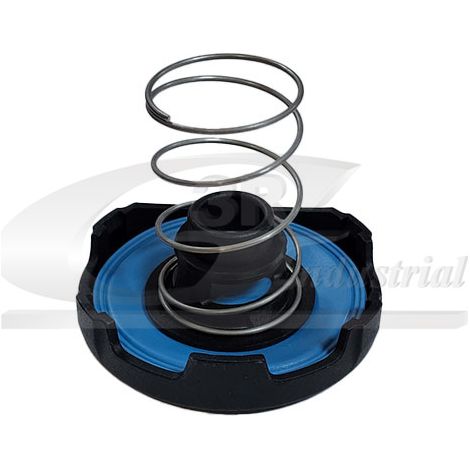 3RG 48803 CUBIERTA VÃƒÂLVULA